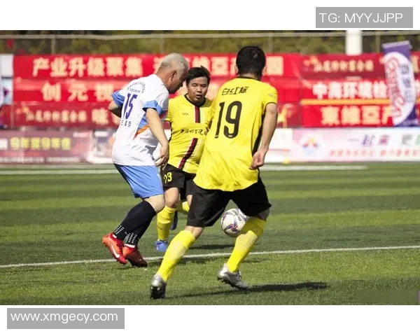 欧洲足球明星在中国甲级联赛的表现与排名分析